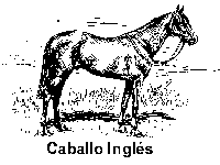 caballoiingles.gif (2025 bytes)